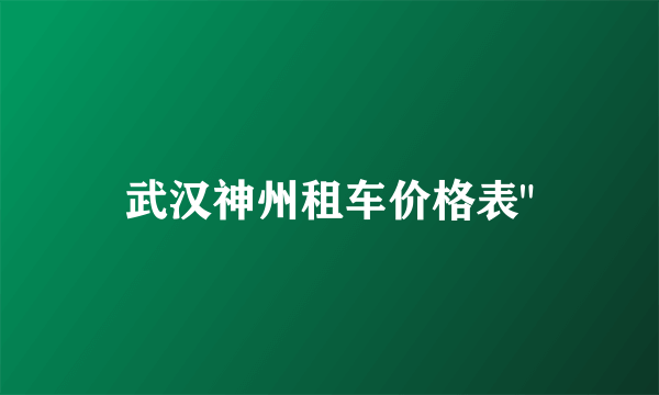 武汉神州租车价格表