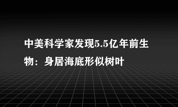 中美科学家发现5.5亿年前生物：身居海底形似树叶