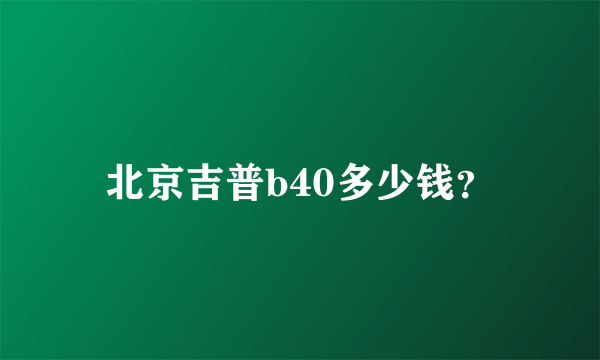 北京吉普b40多少钱？