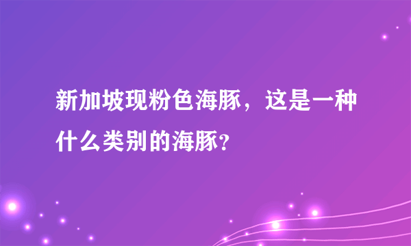 新加坡现粉色海豚，这是一种什么类别的海豚？