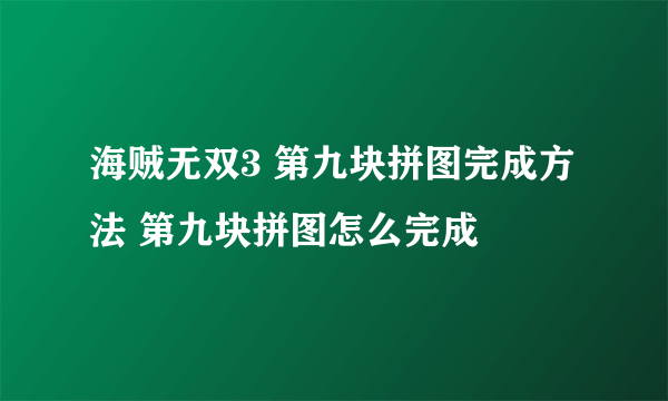 海贼无双3 第九块拼图完成方法 第九块拼图怎么完成