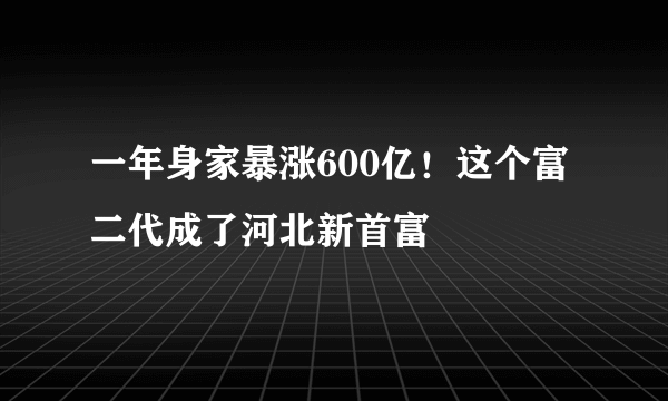 一年身家暴涨600亿！这个富二代成了河北新首富