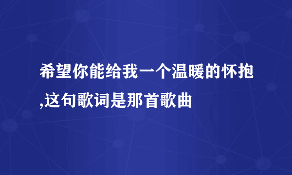 希望你能给我一个温暖的怀抱,这句歌词是那首歌曲