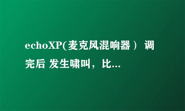 echoXP(麦克风混响器） 调完后 发生啸叫，比较刺耳， 我该怎么办？