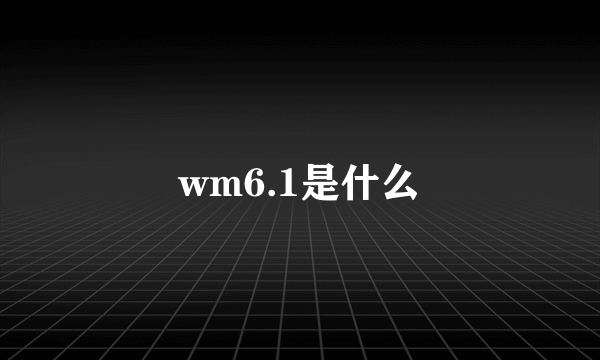 wm6.1是什么