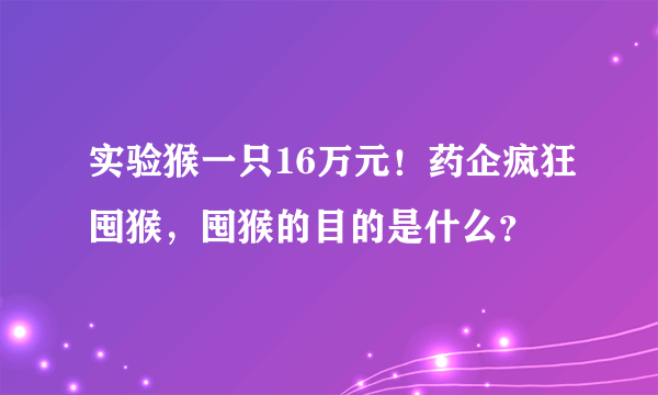 实验猴一只16万元！药企疯狂囤猴，囤猴的目的是什么？