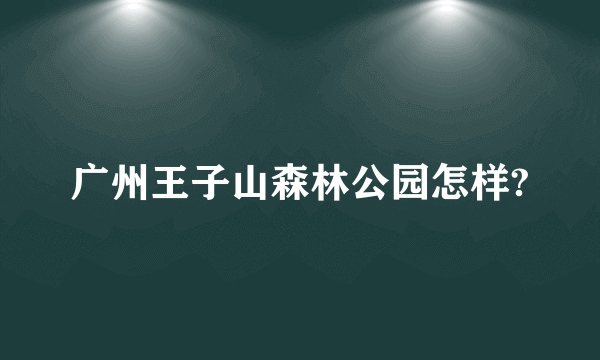 广州王子山森林公园怎样?