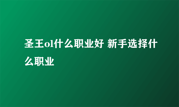 圣王ol什么职业好 新手选择什么职业