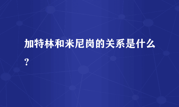 加特林和米尼岗的关系是什么？