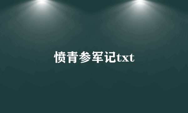 愤青参军记txt