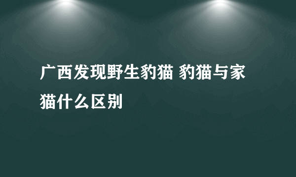 广西发现野生豹猫 豹猫与家猫什么区别