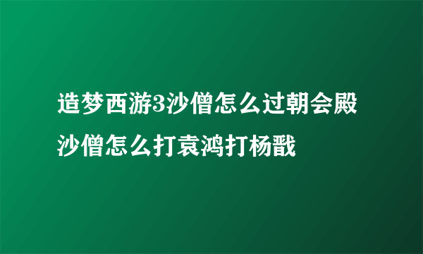 造梦西游3沙僧怎么过朝会殿 沙僧怎么打袁鸿打杨戬