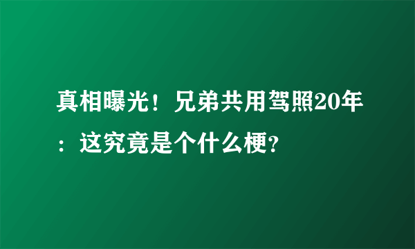 真相曝光！兄弟共用驾照20年：这究竟是个什么梗？