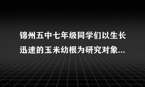 锦州五中七年级同学们以生长迅速的玉米幼根为研究对象,探究了“根什么部位生长最快”.下面是其中一个班的同学们所设计的方案及连续三天测量结果的平均值.探究方案设计        分段时间ABCD    选取玉米的一条幼根,自幼根尖端向上等距离画分为4段,将幼苗放在培养皿中培养第一天第二天第三天(1)此探究结果可以得出的结论是 ；(2)根据你所学到的知识,你认为根生长的原因是:(1) ；② ．