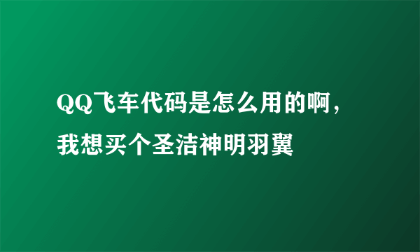 QQ飞车代码是怎么用的啊，我想买个圣洁神明羽翼