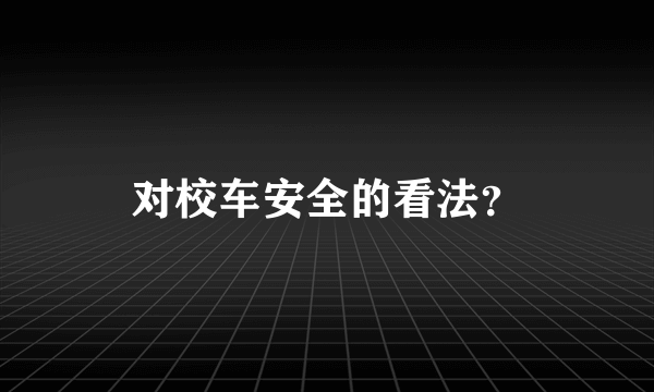 对校车安全的看法？