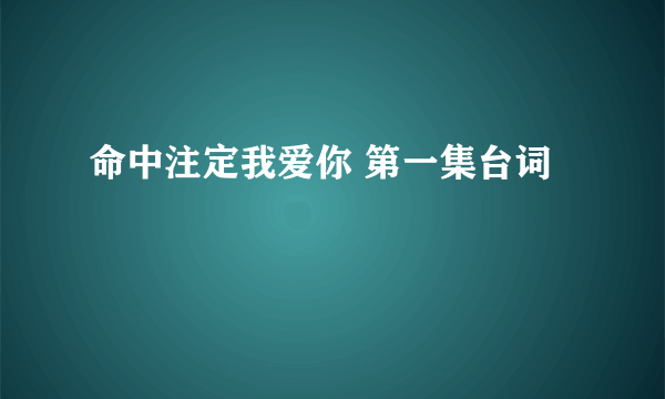 命中注定我爱你 第一集台词