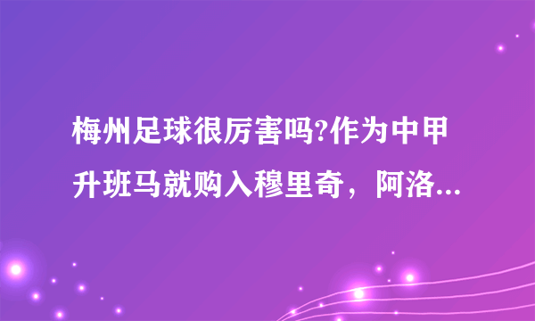 梅州足球很厉害吗?作为中甲升班马就购入穆里奇，阿洛伊希奥?想冲超？