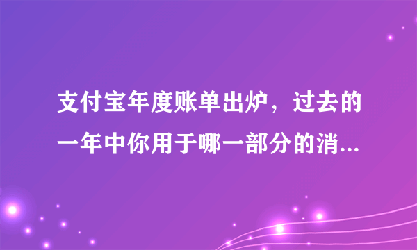 支付宝年度账单出炉，过去的一年中你用于哪一部分的消费最多？