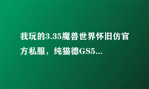 我玩的3.35魔兽世界怀旧仿官方私服，纯猫德GS5600+木桩秒伤刚4000+请问原先官服也这伤害么？