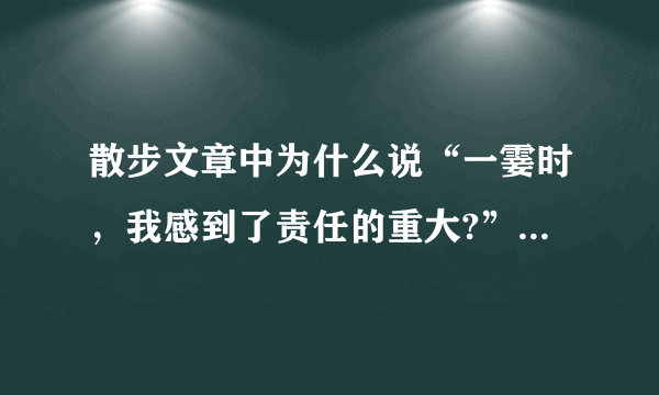 散步文章中为什么说“一霎时，我感到了责任的重大?”把你的理解说一说？