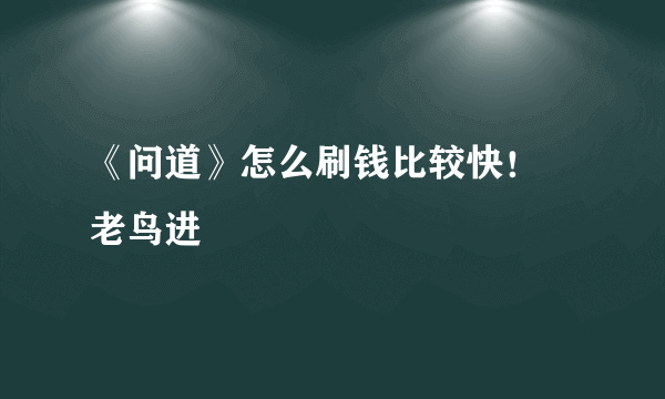 《问道》怎么刷钱比较快！ 老鸟进