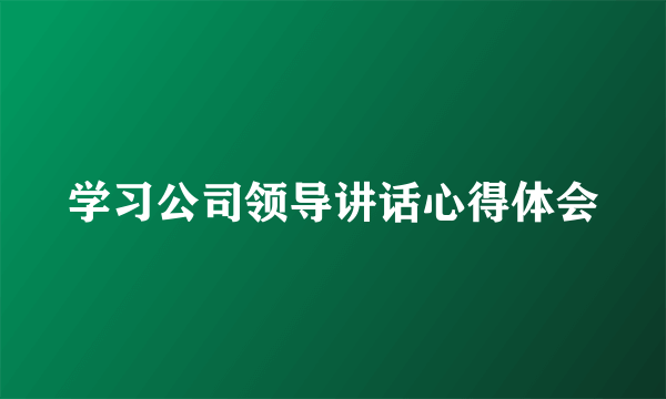 学习公司领导讲话心得体会