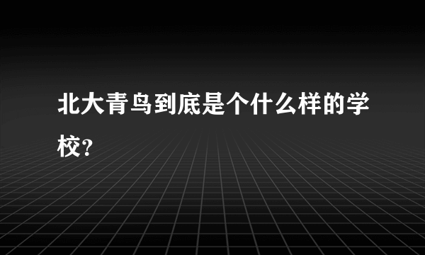 北大青鸟到底是个什么样的学校？