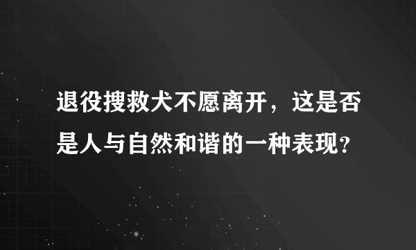 退役搜救犬不愿离开，这是否是人与自然和谐的一种表现？