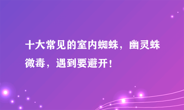 十大常见的室内蜘蛛，幽灵蛛微毒，遇到要避开！