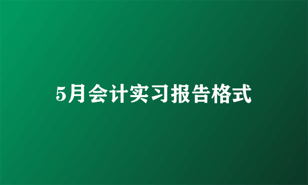 5月会计实习报告格式