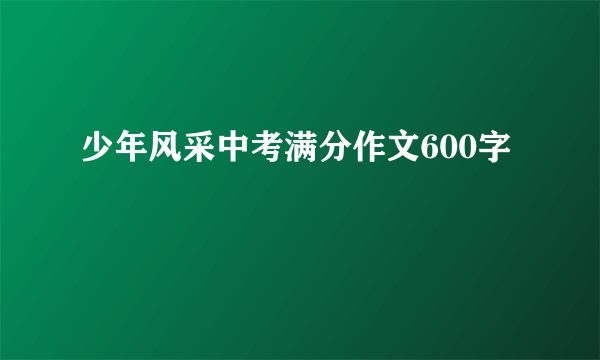 少年风采中考满分作文600字