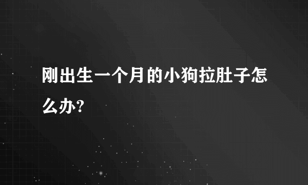 刚出生一个月的小狗拉肚子怎么办?