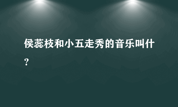 侯蕊枝和小五走秀的音乐叫什？