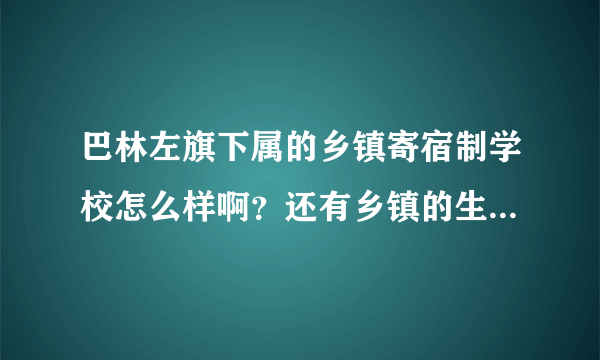 巴林左旗下属的乡镇寄宿制学校怎么样啊？还有乡镇的生活水平怎样？谢谢