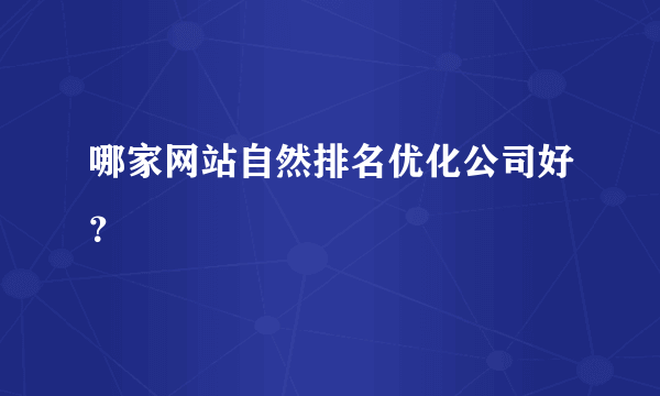 哪家网站自然排名优化公司好？