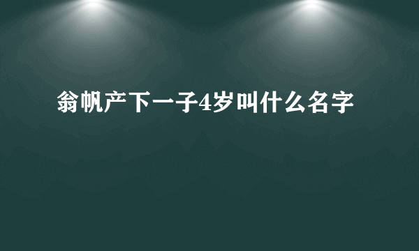 翁帆产下一子4岁叫什么名字