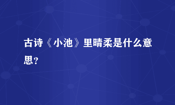 古诗《小池》里晴柔是什么意思？