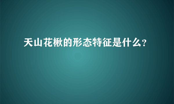 天山花楸的形态特征是什么？