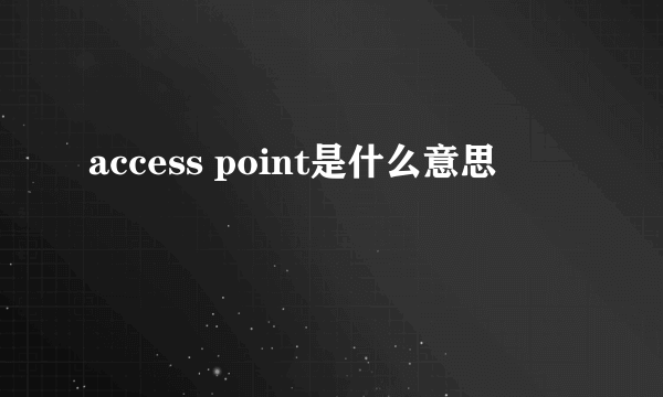 access point是什么意思