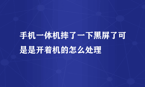 手机一体机摔了一下黑屏了可是是开着机的怎么处理