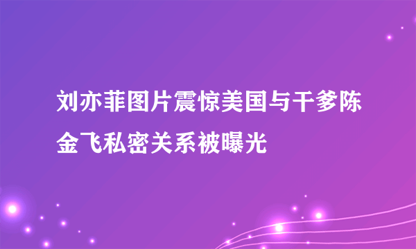 刘亦菲图片震惊美国与干爹陈金飞私密关系被曝光