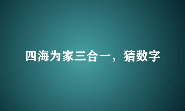 四海为家三合一，猜数字