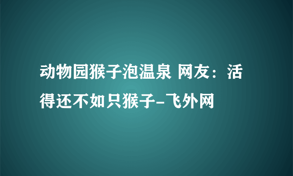 动物园猴子泡温泉 网友：活得还不如只猴子-飞外网