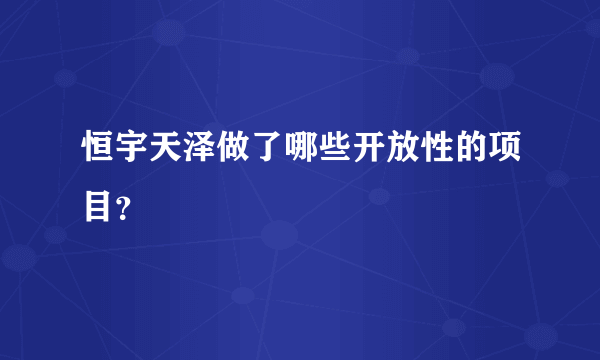 恒宇天泽做了哪些开放性的项目？