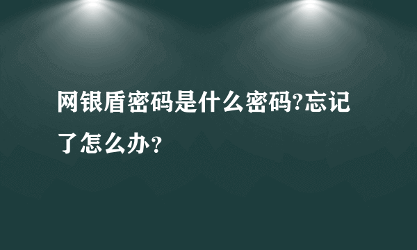 网银盾密码是什么密码?忘记了怎么办？