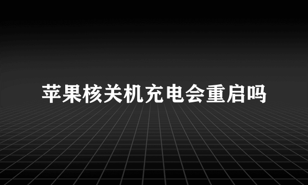 苹果核关机充电会重启吗