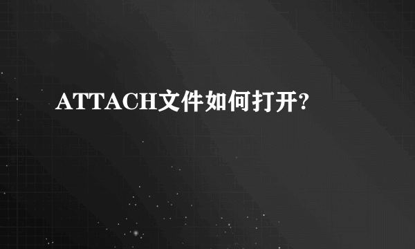 ATTACH文件如何打开?