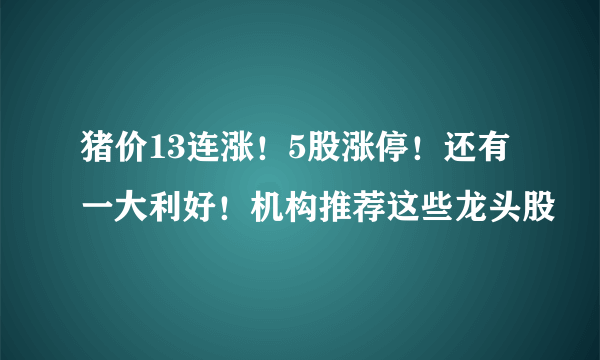 猪价13连涨！5股涨停！还有一大利好！机构推荐这些龙头股