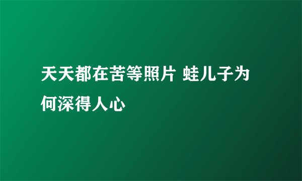 天天都在苦等照片 蛙儿子为何深得人心